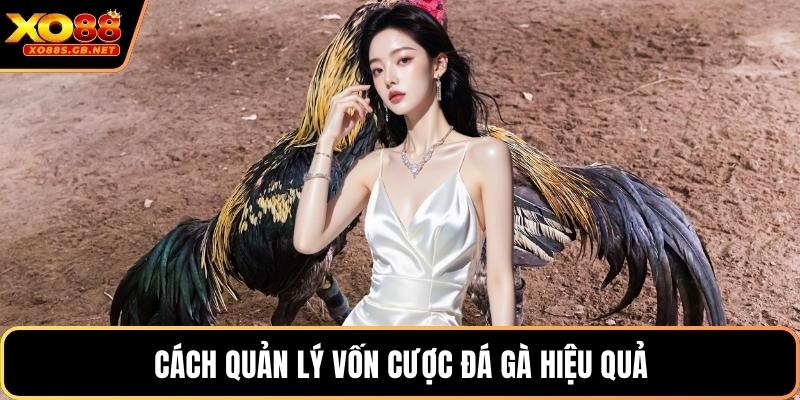 Cách quản lý vốn cược đá gà hiệu quả