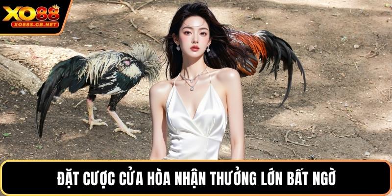 Đặt cược cửa hòa nhận thưởng lớn bất ngờ