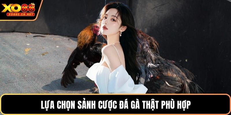 Lựa chọn sảnh cược đá gà thật phù hợp