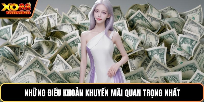 Những điều khoản khuyến mãi quan trọng nhất