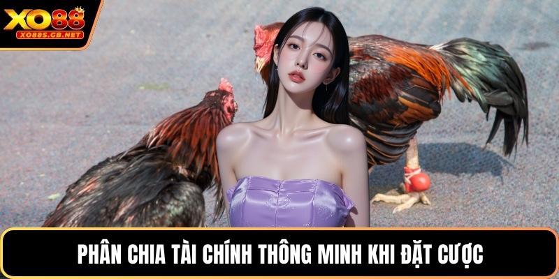 Phân chia tài chính thông minh khi đặt cược