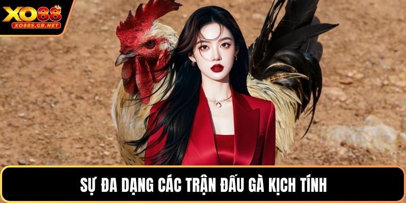 Sự đa dạng các trận đấu gà kịch tính