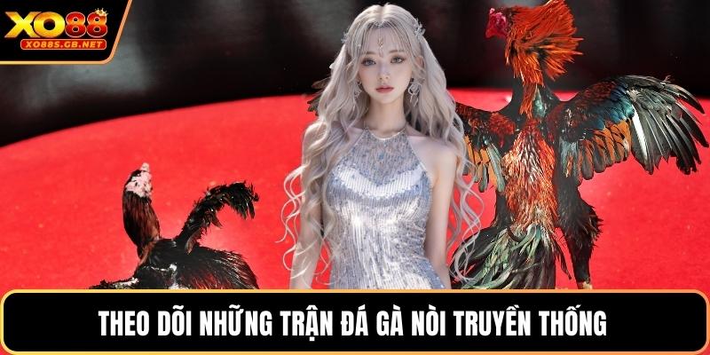 Theo dõi những trận đá gà nòi truyền thống 