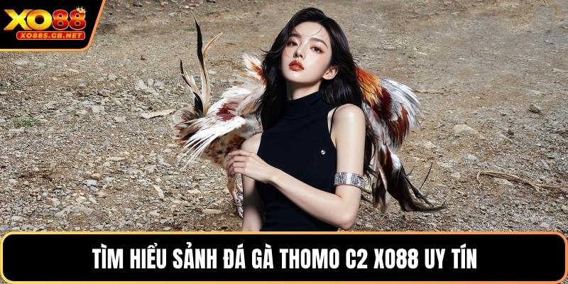 Tìm hiểu sảnh đá gà thomo c2 Xo88 uy tín