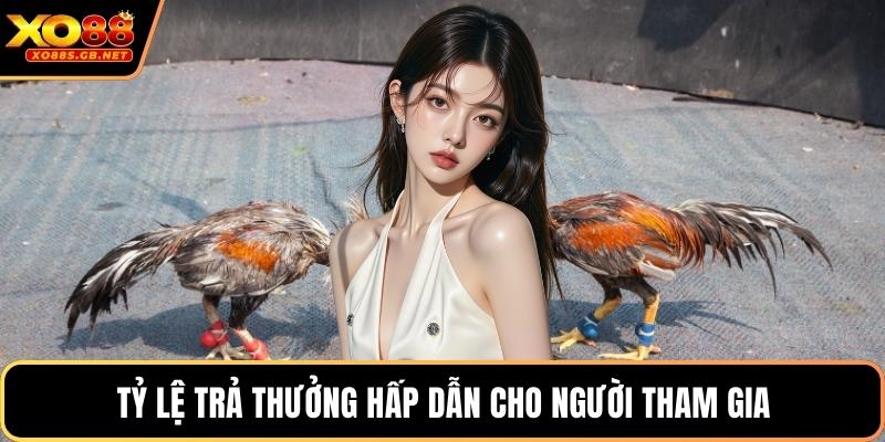 Tỷ lệ trả thưởng hấp dẫn cho người tham gia